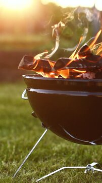 Vertical Close Up of Barbecue Fire in Spring Garden