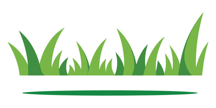 Green grass vector isolated design, fresh lawn and meadow blades illustration, natural spring and summer landscape element, friendly nature graphic, clean realistic style on white background.