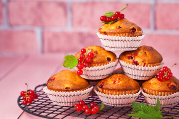 Homemade fresh baked delicious red currant muffins