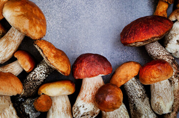 Wild forest edible mushrooms (boletus), close-up