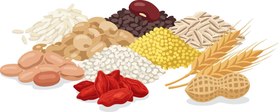 A variety of grains, beans, and nuts are artfully arranged in piles