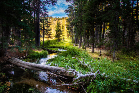 Hat Creek at Paradise Meadow, Lassen Volcanic National Park, Northern California