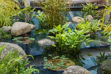 Serene water garden featuring vibrant green plants, floating lily pads, and natural rocks