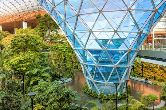 2 December 2025, Doha, Qatar: Lush green garden Orchard thriving inside a modern glass dome in Hamad Airport