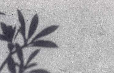 Leaf shadow on textured wall background