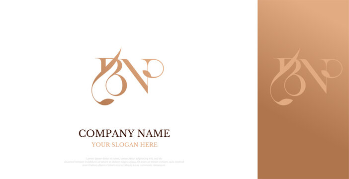 Initial BN Logo Design Elegant