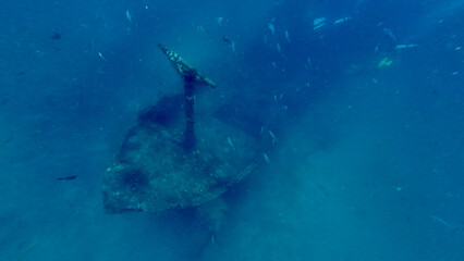 Top view of sunken shipwreck with mast seen through deep blue water. Abandoned vessel on the ocean floor visible from above through the water column with fish around.