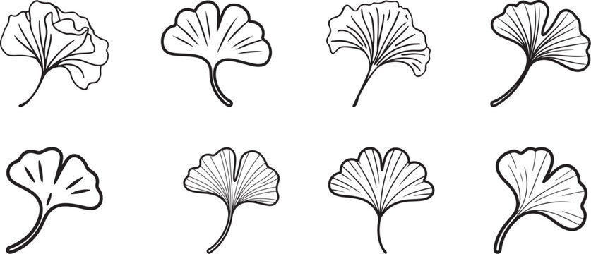 Various ginkgo leaf line art collection, bold black outlines and minimal detail for kids coloring page vector format.