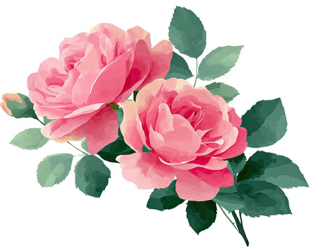 Watercolor illustration of two blooming pink roses with green leaves