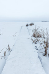 Fototapeta premium A serene winter scene features a snow-covered boardwalk