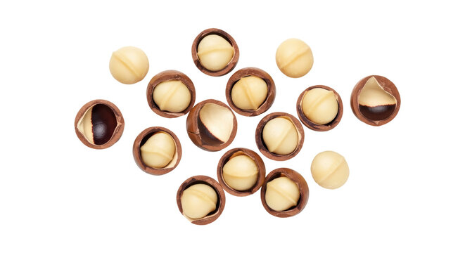 Pile of macadamia nuts isolated PNG, shelled and unshelled nuts on transparent background, healthy snack and ingredient