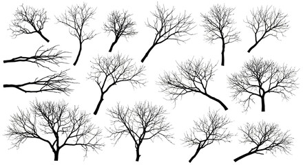 Collection of bare trees silhouetted against a neutral background, depicted from various angles and perspectives in a minimalist illustration style.