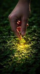 Fototapeta premium Finding a four-leaf clover