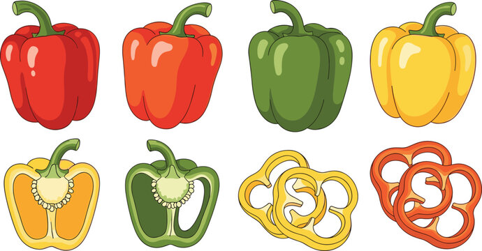 Set of colorful bell pepper vectors including red orange green and yellow whole halves and sliced pieces for healthy cooking