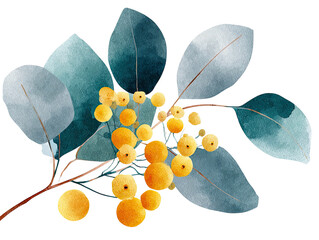 Watercolor illustration of eucalyptus leaves and yellow berries on a transparent background