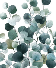 Watercolor depiction of leafy eucalyptus branches cascading against a black background