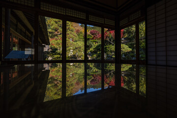 日本　鳥取県八頭郡智頭町にある石谷家住宅の座敷から見える石谷氏庭園と紅葉 © pespiero