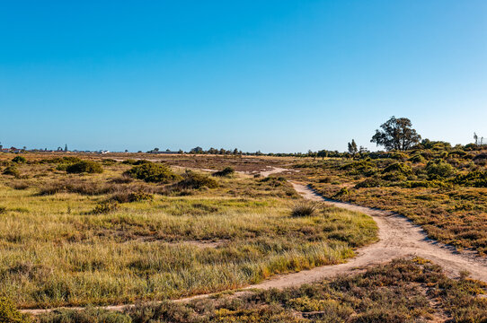 A natural coastal wetland in the small town of Laaiplek formed from historical flooding of the Berg River on the Western Cape, South Africa