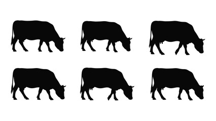 Silhouettes of cows grazing in a field, showcasing different postures and orientations. isolated on white background, Vector