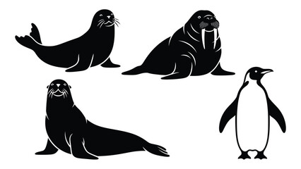 A diverse group of aquatic animals including seals and a penguin isolated on white background, Vector © MDRian