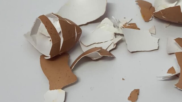 Cracked Eggshell on white background for composting 