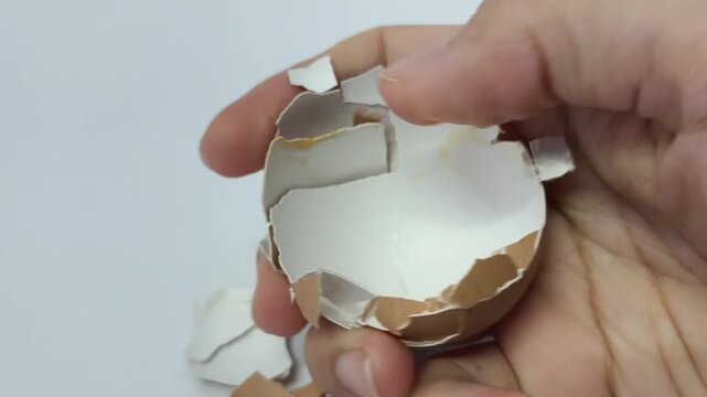 Cracked Eggshell on white background for composting 