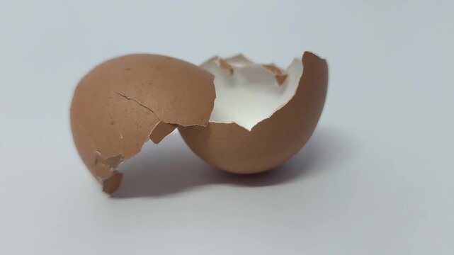 Cracked Eggshell on white background for composting 