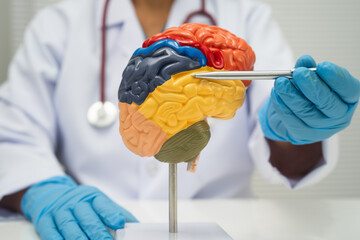Alzheimer disease, Asian doctor holding brain anatomy model for study diagnosis and treatment in...