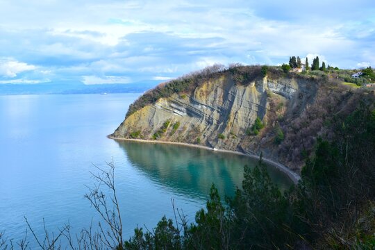 Flysch cliff at Moon bay at the Adriatic sea coast at Strunjan nature park in Primorska, Slovenia