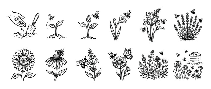 Collection of twelve hand-drawn black line icons depicting gardening, beekeeping, and pollination, with bees, flowers, a beehive, and plant growth stages shown in a simple sketch style