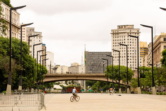 Pr&eacute;dios, &aacute;rvore, poste de rua, viaduto e constru&ccedil;&otilde;es da cidade de S&atilde;o Paulo. 