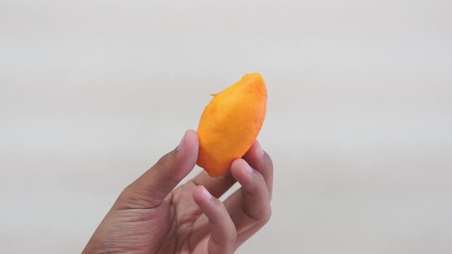 Durian Lai, Durio Kutejensis, Yellow Durian of Borneo Kalimantan