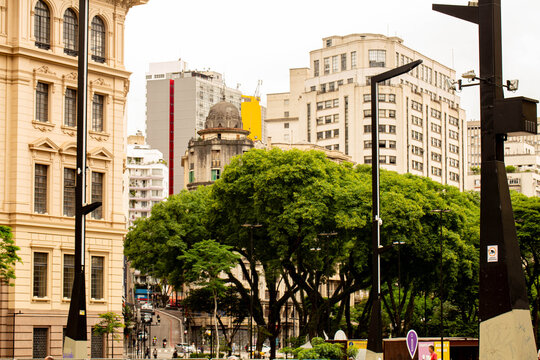 Pr&eacute;dios, &aacute;rvore, poste de rua, viaduto e constru&ccedil;&otilde;es da cidade de S&atilde;o Paulo. 