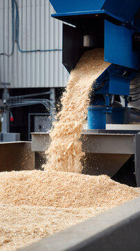 Industrial wood chipper pouring sawdust into container. Blue recycling machinery, timber processing facility. Manufacturing equipment, biomass production, waste management, sustainable wood industry.