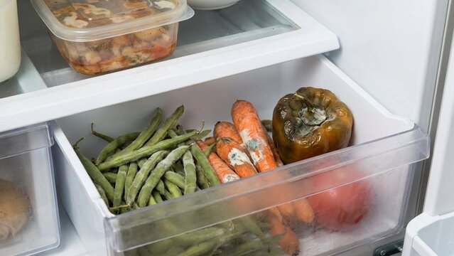 Open refrigerator crisper drawer with fresh green beans carrots and bell pepper, healthy meal prep storage and grocery organization, clean kitchen routine for Earth Day