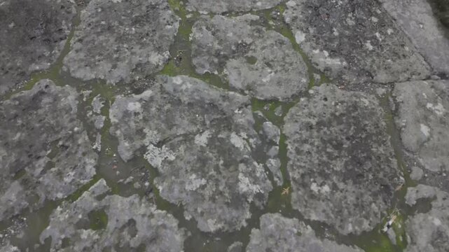 Ancient Street in Ercolano, Italy