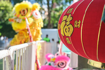 Chinese New Year Festival