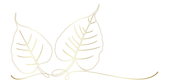 Bodhi leaf line art style illustration.eps