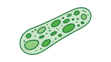 A digital illustration of a paramecium, a type of single-celled organism, rendered in a minimalist style (1)_traced