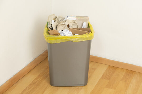 Waste Paper and Cardboard Sorting in Trash Bin for Recycling