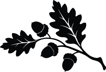 Leaves oak branch with acorn silhouette vector © Amina