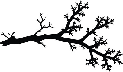  lichen on a branch silhouette vector.