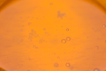 close up macro view of golden liquid honey pouring into pool with air bubbles and reflections with copy space for text