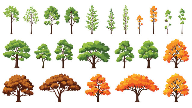 Diverse collection of trees in various shapes sizes and autumn colors including greens oranges and browns for seasonal landscape designs.