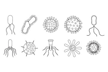 Set of black and white line art drawings illustrating various bacteria and viruses on white background