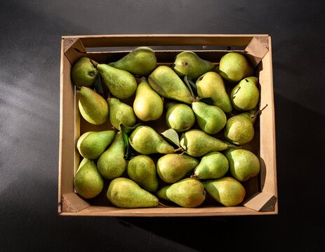 fresh bio abate fetel green pears in big box just picked from tree