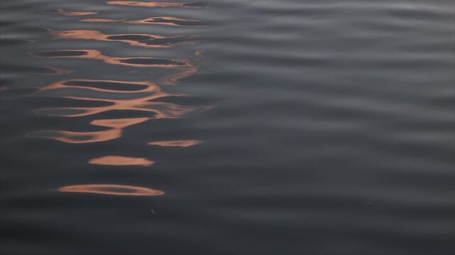 A Close-Up Of A Dark Water Surface With Gentle Ripples Reflecting The Golden Light Of A Sunset, Creating A Serene And Abstract Liquid Background.