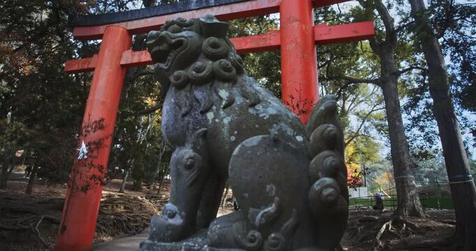 Worn out, old beast statue in front of Japanese torii gate - slow motion