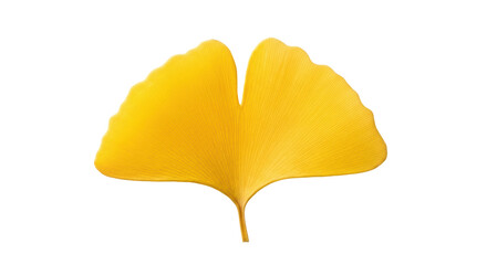 Naklejka premium Vibrant yellow Ginkgo biloba leaf isolated PNG on transparent background, autumn foliage detail for seasonal design projects