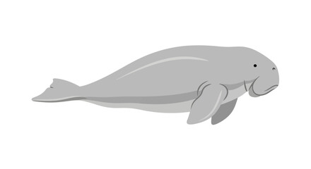 Illustration of a gray manatee swimming in water with a calm expression. © VectorNest Studio